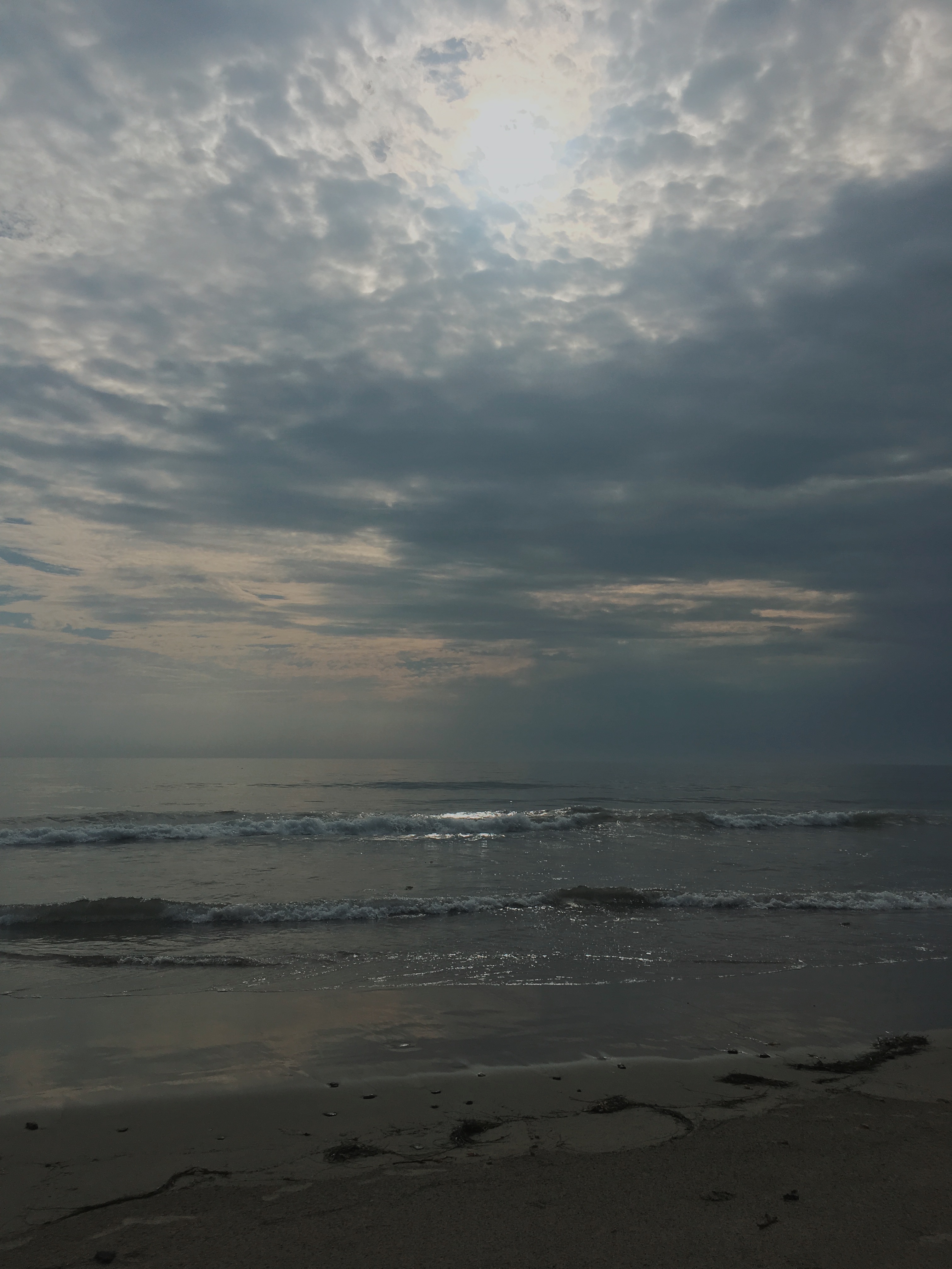 Processed with VSCO with c8 preset