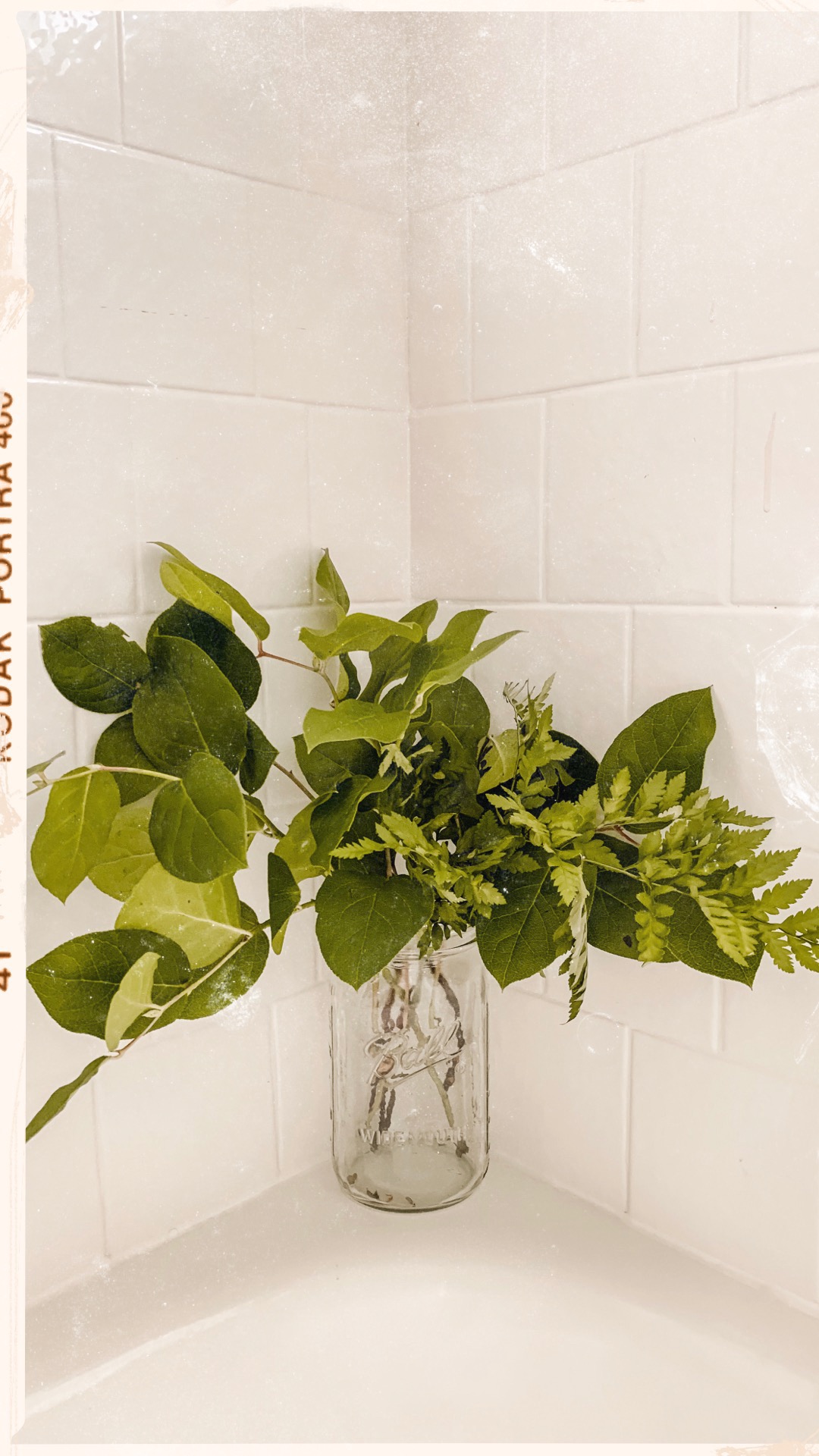 AfterlightImage 2.JPG